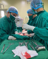 Bệnh viện Đa khoa tỉnh Kon Tum phẫu thuật thành công  trường hợp sinh ba